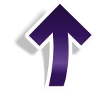 BACK TO TOP