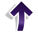 BACK TO TOP